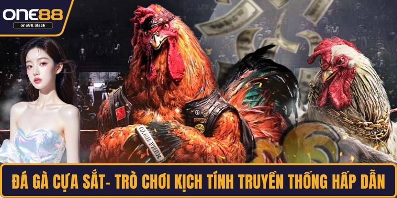 Đá gà cựa sắt