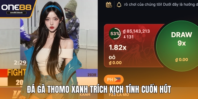 Đá gà Thomo xanh trích kịch tính cuốn hút
