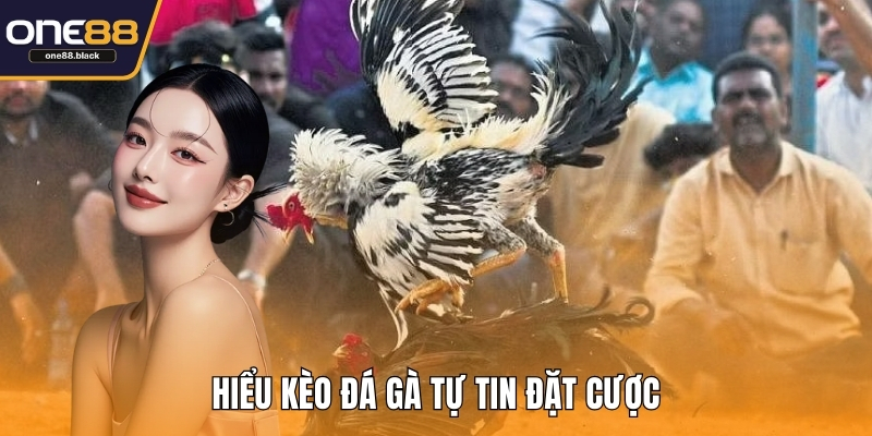 Hiểu kèo đá gà tự tin đặt cược