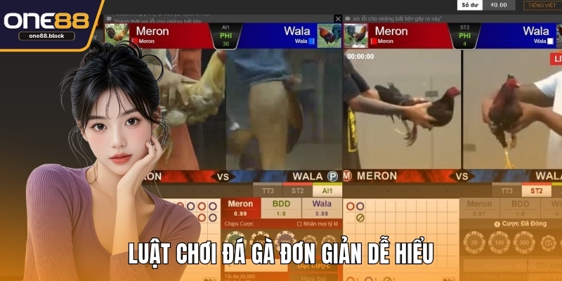 Luật chơi đá gà đơn giản dễ hiểu