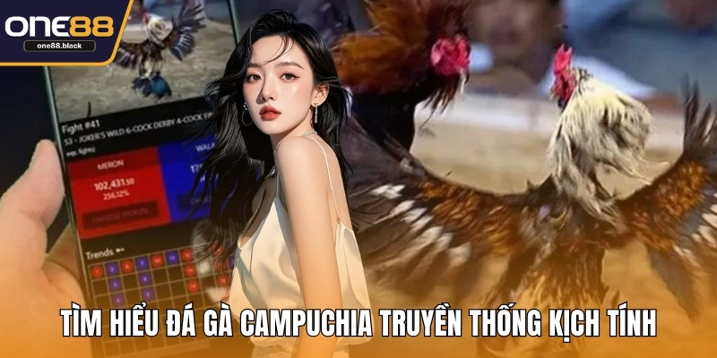 Tìm hiểu đá gà Campuchia truyền thống kịch tính
